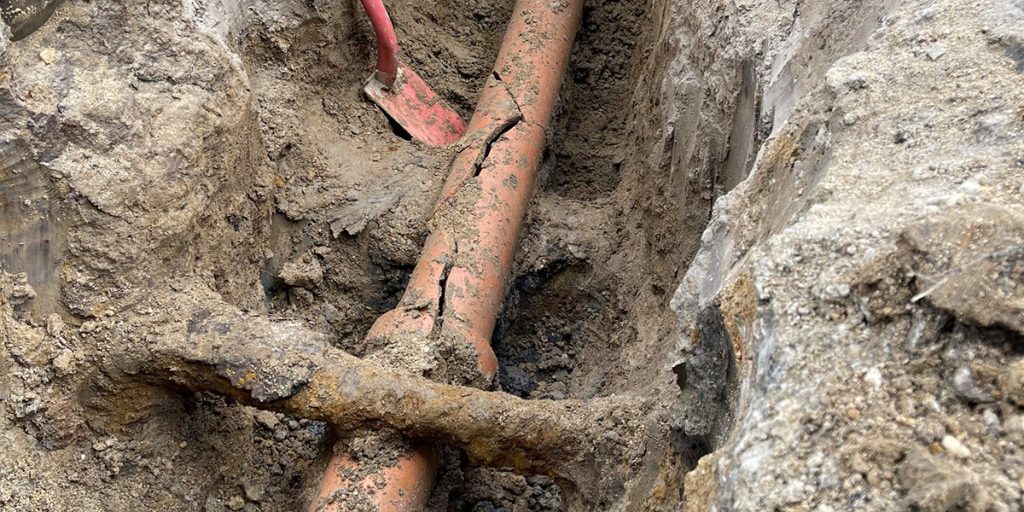 what causes main sewer line to clog